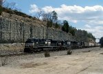 NS-1016 at Woodson Bend